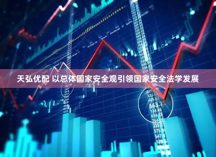 天弘优配 以总体国家安全观引领国家安全法学发展