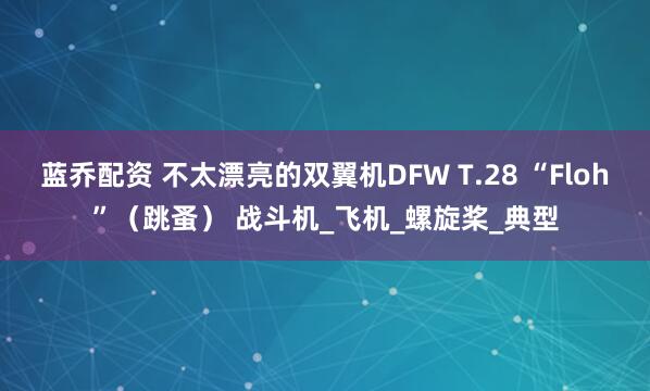 蓝乔配资 不太漂亮的双翼机DFW T.28 “Floh”（跳蚤） 战斗机_飞机_螺旋桨_典型