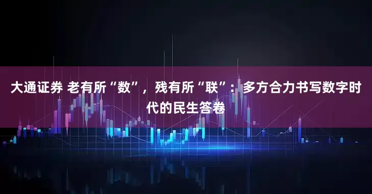 大通证券 老有所“数”，残有所“联”：多方合力书写数字时代的民生答卷