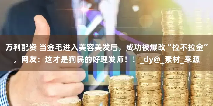 万利配资 当金毛进入美容美发后，成功被爆改“拉不拉金”，网友：这才是狗民的好理发师！！_dy@_素材_来源
