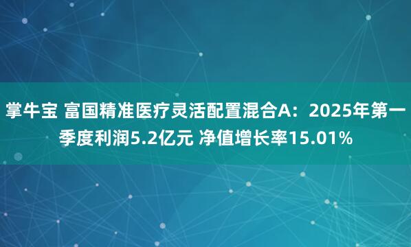 掌牛宝 富国精准医疗灵活配置混合A：2025年第一季度利润5.2亿元 净值增长率15.01%