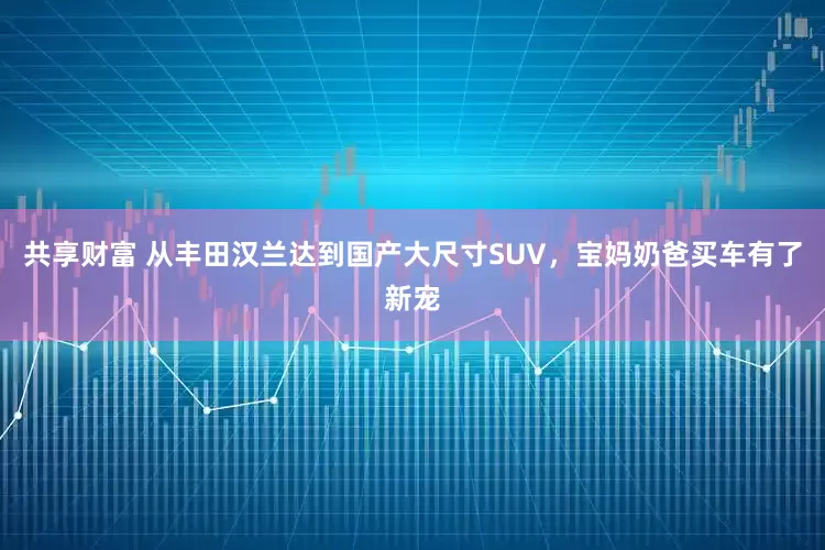 共享财富 从丰田汉兰达到国产大尺寸SUV，宝妈奶爸买车有了新宠