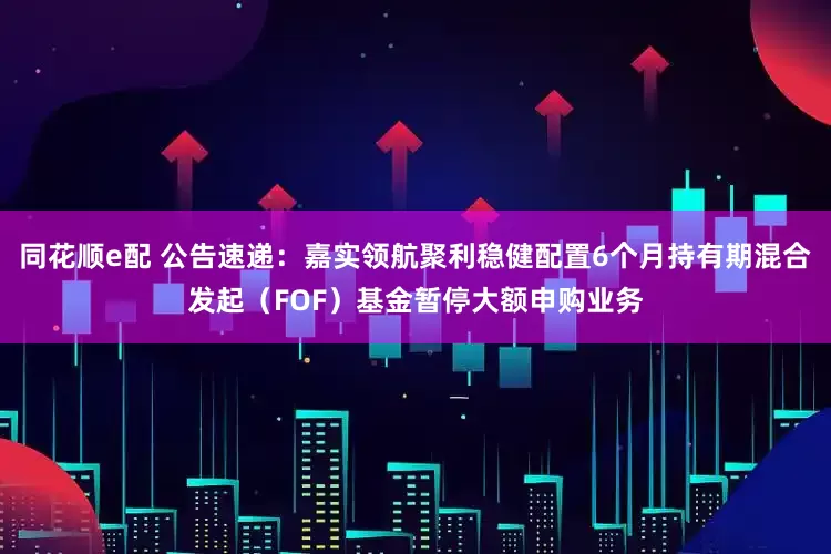 同花顺e配 公告速递：嘉实领航聚利稳健配置6个月持有期混合发起（FOF）基金暂停大额申购业务