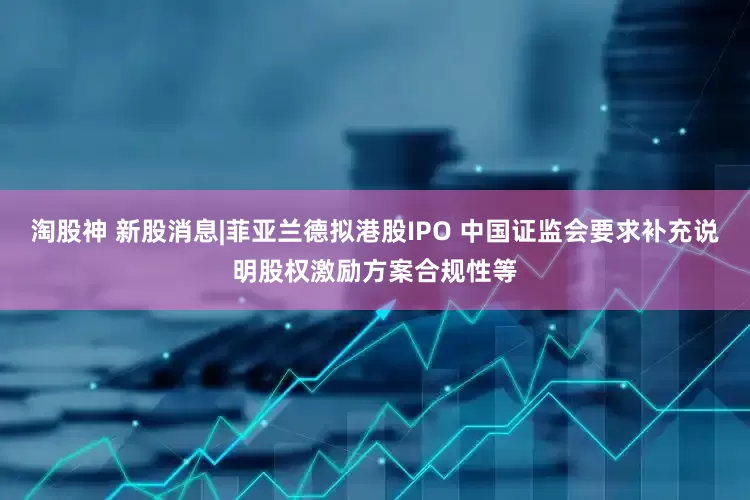 淘股神 新股消息|菲亚兰德拟港股IPO 中国证监会要求补充说明股权激励方案合规性等
